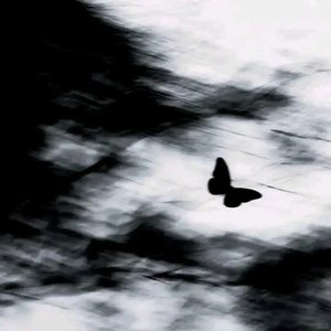 Still love it (依然爱她)