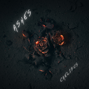 Ashes/余烬 - (无压Mix)