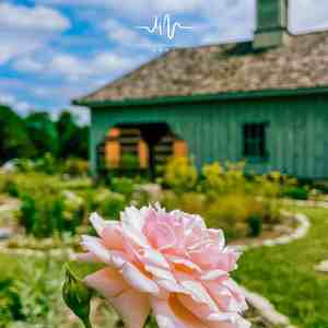 再梦残阳 (休闲自愈音乐)