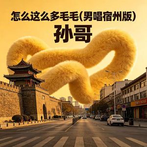 怎么这么多毛毛（男唱宿州版）