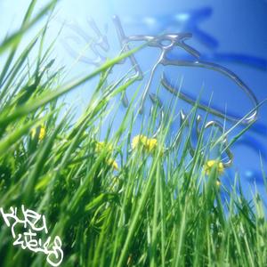 skytearer (feat. blackwinterwells)