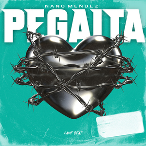 Pegaita