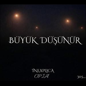 Büyük Düşünür