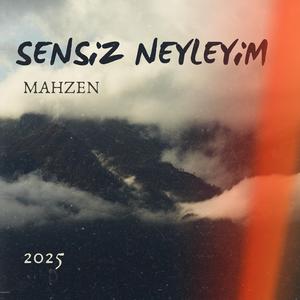 Sensiz Neyleyim