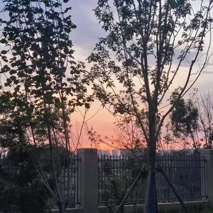 ハナヒバナ（钢琴翻弹）