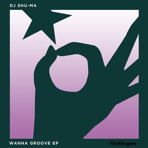Wanna Groove (Original Mix)