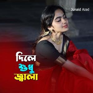 দিলে শুধু জ্বালা