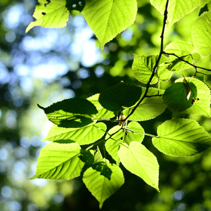 Κέντρο Ευεξίας