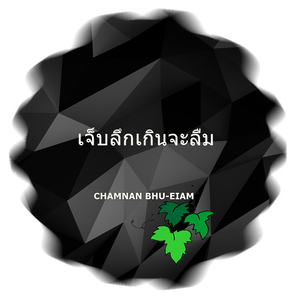 เจ็บลึกเกินจะลืม