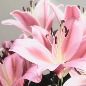 Accuracy & Reasoning