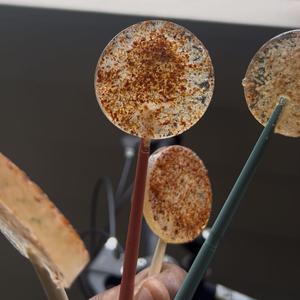 NEW TO YOU NEW TRIBUTE