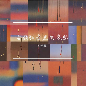 古韵弦音里的哀愁