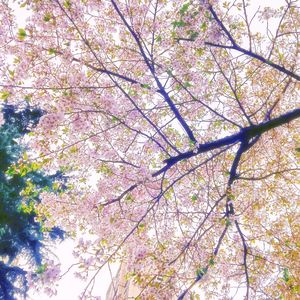 85%（Prod by Gr33nart Beats.）