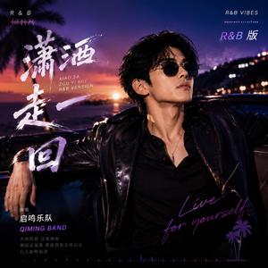 潇洒走一回(R&B版)