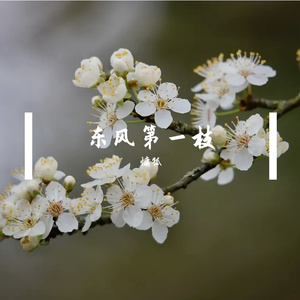 东风第一枝