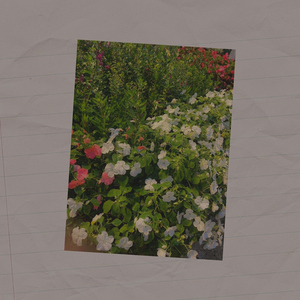 สุดท้ายแล้วนะ