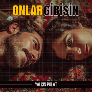 Onlar Gibisin