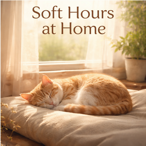 Slow Minutes at Home
