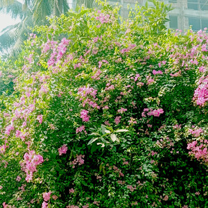 আসুন জীবন পাল্টাই