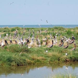 I thought my mission was complete, I ain't die yet