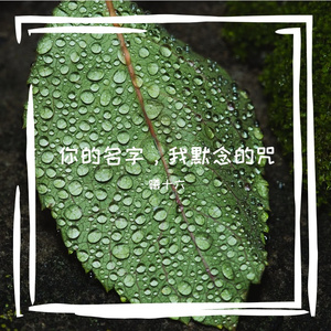 你的名字，是我默念的咒