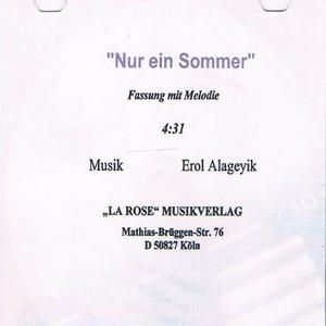 Nur ein Sommer