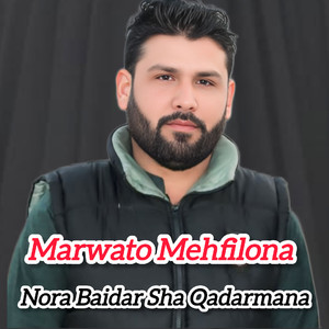 Nora Baidar Sha Qadarmana