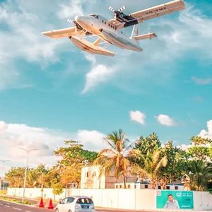 有了你，我的黑夜才敢奢求星辰