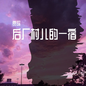 后厂村儿的一宿