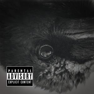 脑部外科神经手术（Prod. by 澜）