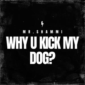 Why U Kick My Dog?