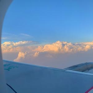 我怀疑你曾来过