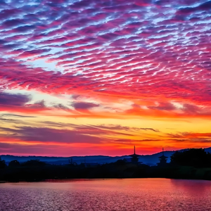 爱在都市的角落