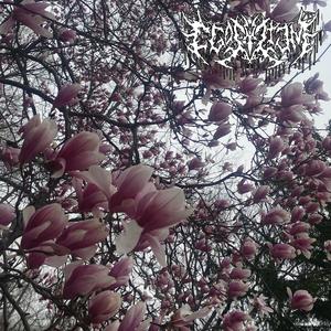 we let the vultures eat