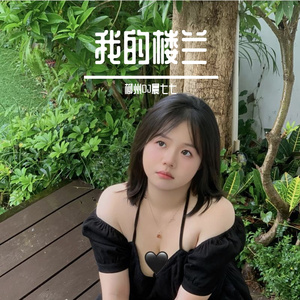 柳州DJ晨七七-我的楼兰《咚鼓DJ版》