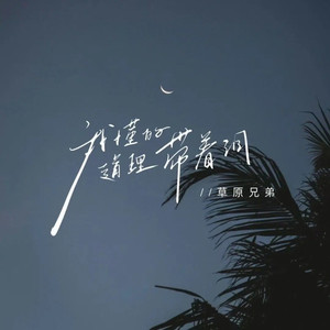 我懂的道理带着泪 (语录版)