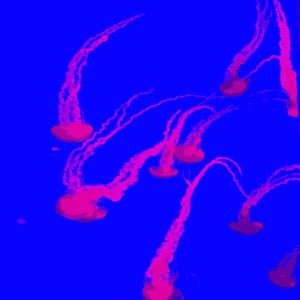 divina comédia (instrumental)