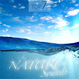 River Flow Soundscape