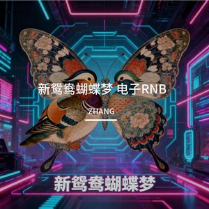 新鸳鸯蝴蝶梦RNB