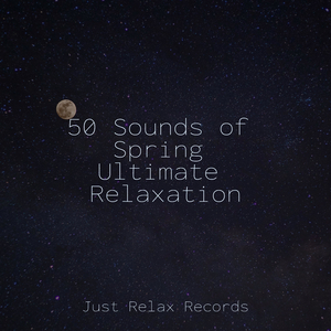 Ocean's Embrace in Turquoise