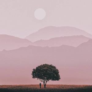 梦醒（Waking from a dream）