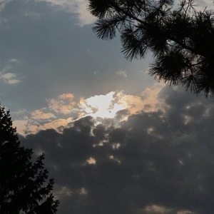 i dont want that many friends in the first place