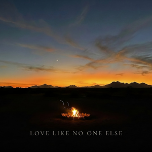 Love Like No One Else