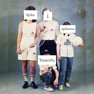 Mångsysslare Mörkberg