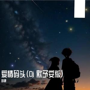 爱情码头（Dj 默予安版）
