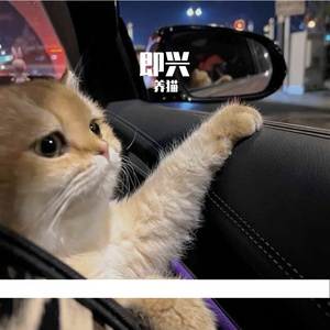 即兴