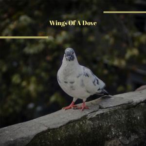 A Blue Million Tears