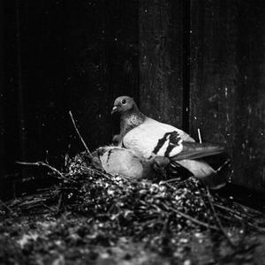 Varmt når jeg legger meg