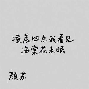 凌晨四点我看见海棠花未眠
