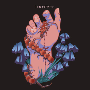 Centipede